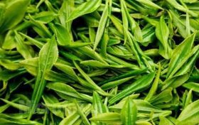 為什么說喝春茶沒必要“洗茶”？縮略圖