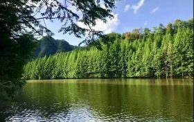火爆出圈的漢中出游“頂流”，您最鐘意哪一處？縮略圖
