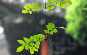 漢中這些地方雨天別有風(fēng)情，總有一處深得你心！縮略圖