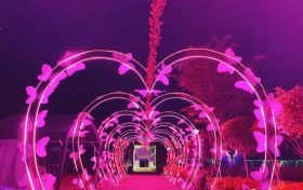 燈光節(jié)，快來體驗夏夜的“繁光遠(yuǎn)綴天”！縮略圖