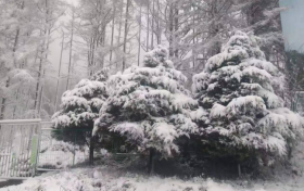 陜西多地5月飄雪！氣象局連發(fā)12個(gè)預(yù)警 最低氣溫6℃……縮略圖