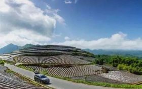 在南鄭，這條“紅色交通線”串起川陜鄉(xiāng)親美好新生活縮略圖
