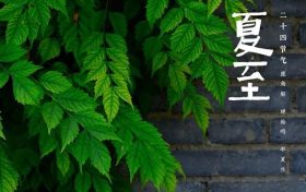 二十四節(jié)氣·夏至丨星繁愁晝熱 露重覺荷香縮略圖