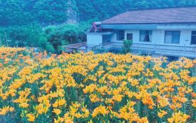文旅行業(yè)新添兩個(gè)“新職業(yè)”！縮略圖
