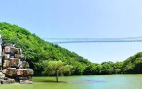 祝賀！漢中這幾個(gè)縣被省政府通報(bào)表彰縮略圖