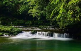 漢中避暑界的“頂流”，晚上還要蓋棉被！縮略圖