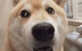 微信將可開“小號”，沖上熱搜！縮略圖