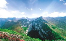 “不合理低價(jià)游”，重點(diǎn)整治！縮略圖