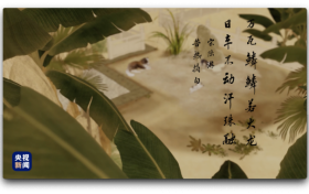 人間好時節(jié)丨大暑縮略圖