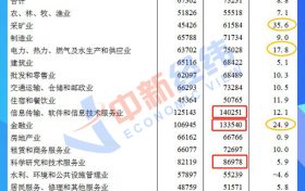 28省份去年平均工資出爐：8地非私營超10萬元，北京最高縮略圖