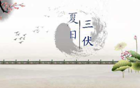 三伏天怎么吃，一次給您說明白縮略圖