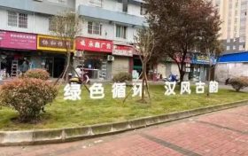 見縫插綠，宜居亦景！漢臺(tái)區(qū)建成19個(gè)口袋公園縮略圖