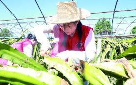 四問今夏超強高溫天氣：這么熱正常嗎？來年還會這么熱嗎？縮略圖