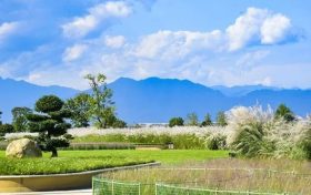 期待值拉滿！漢臺秋天的十種浪漫打開方式→縮略圖