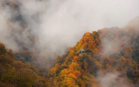 霜降 | 天上寒霜降，人間秋色深縮略圖