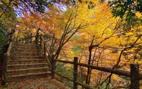 邂逅漢中這里，綿延山脈極致色彩等你來欣賞縮略圖