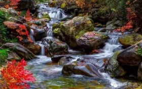 花開千樹“層林盡染”，佛坪秋景大賞~縮略圖