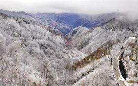 你愿意和我來(lái)佛坪邂逅冬日里第一場(chǎng)雪嗎縮略圖
