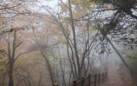 仙霧繚繞，如夢如幻！縮略圖