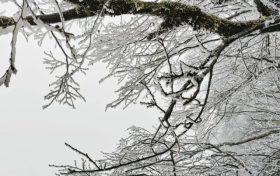 云賞龍頭山入冬初雪！霧凇奇觀太美啦！縮略圖