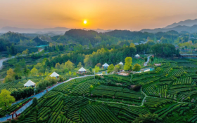 喜報(bào)！漢中市3縣獲第六批國(guó)家生態(tài)文明建設(shè)示范區(qū)和“兩山”基地命名！縮略圖