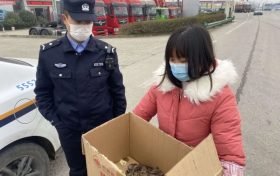 警民聯(lián)手救助一只國(guó)家二級(jí)保護(hù)動(dòng)物縮略圖