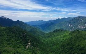 朱鹮、秦嶺石蝴蝶珍稀瀕危物種保護(hù)入選2022年生物多樣性保護(hù)優(yōu)秀案例縮略圖