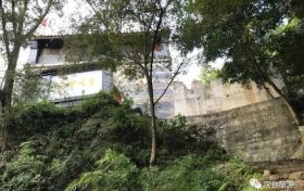 “陽”了后你還在“咳咳咳”嗎？縮略圖
