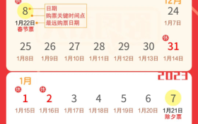 還有不到20天就過年了！返鄉(xiāng)出游這些要了解縮略圖
