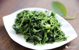 好吃又養(yǎng)生！春天這幾種野菜，每一種都有獨特的功效！縮略圖
