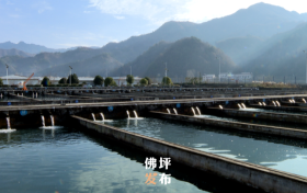 點(diǎn)贊！佛坪這一項(xiàng)目入國家農(nóng)業(yè)標(biāo)準(zhǔn)化示范區(qū)項(xiàng)目→縮略圖