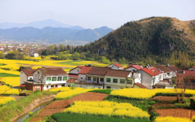 2023中國最美油菜花海漢中旅游文化節(jié)將于3月中旬開幕！縮略圖