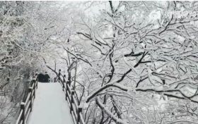 下雪了！漢中好多地方下雪了！縮略圖