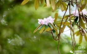 春游前，這份急救指南請先收好！縮略圖