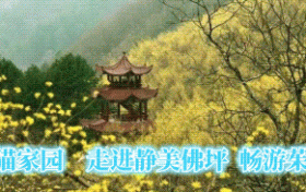 勿空跑！佛坪這里暫停開(kāi)放→縮略圖