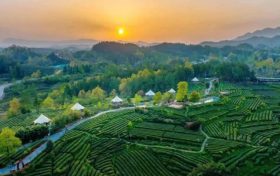 棒！漢中一地到城區(qū)景區(qū)的旅游專(zhuān)線(xiàn)實(shí)行免費(fèi)公交！縮略圖