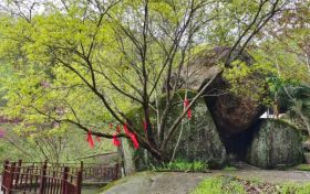 踏青賞春正當(dāng)時(shí)，相約漢江源享受好春光縮略圖