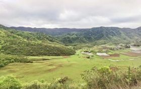 夏天來了，起居、飲食、運(yùn)動(dòng)有講究縮略圖