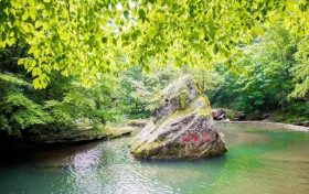 @高考生及家長 志愿填報(bào)別太迷信“指導(dǎo)”縮略圖