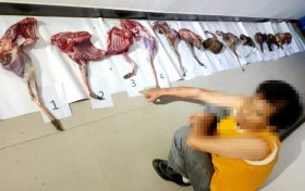 桑園派出所破獲一起非法狩獵案縮略圖