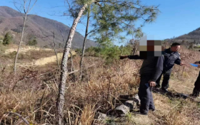 再添戰(zhàn)果！鎮(zhèn)巴公安偵破一起重大濫伐林木案縮略圖