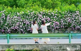 喜訊！漢臺(tái)有個(gè)小鎮(zhèn)會(huì)“深呼吸”縮略圖