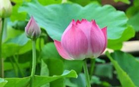 相約黎壩，邀您赴一場(chǎng)詩(shī)意田園的心動(dòng)之旅！縮略圖