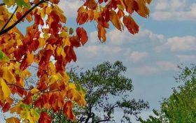 情侶分手鬧糾紛 行政調(diào)解化矛盾縮略圖