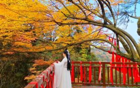 登山賞秋，漢江源馬上迎來(lái)第一波浪漫秋色!縮略圖