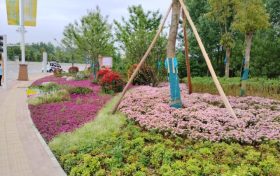 讓幸福加碼！南鄭民生實事項目新進(jìn)展——市民休閑公園改造項目縮略圖