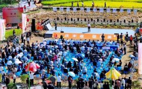 慶豐收，促和美 | 略陽(yáng)縣第六屆中國(guó)農(nóng)民豐收節(jié)開幕縮略圖