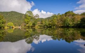 勉縣: 元墩橋至寧強交界處（黃土嶺）段在道路施工期間實行交通管制縮略圖