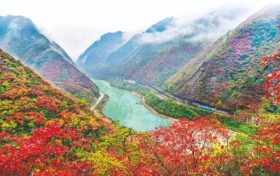 不負(fù)美景不負(fù)秋！不管你去不去，這份秋日攻“略”都值得收藏！縮略圖
