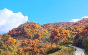 又是一年彩林季，漢江源彩林搶先看~縮略圖